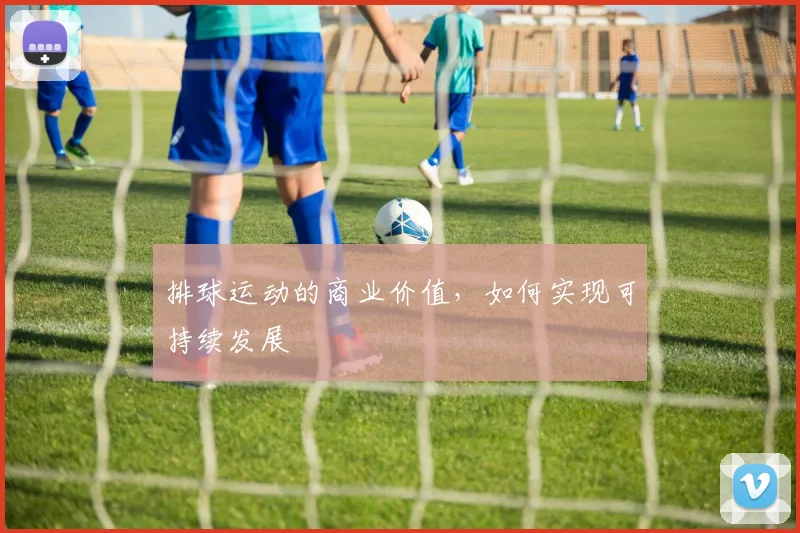 排球运动的商业价值，如何实现可持续发展