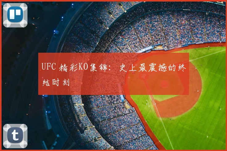 UFC 精彩KO集锦：史上最震撼的终结时刻